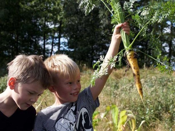 Geography KS3 full sol resources lessons scheme food plastic sustainable assessment