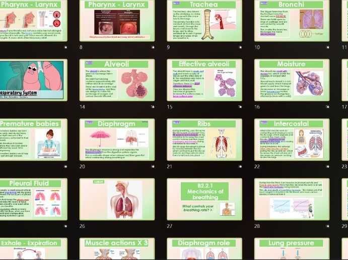 AAQ BTEC Health & Social Care Unit 2 Human Biology B2 Respiratory COPD Asthma