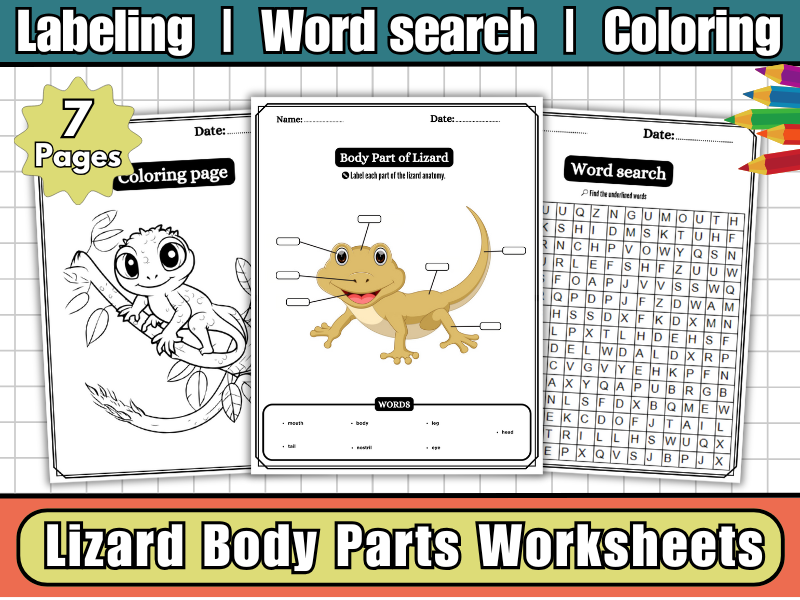 Lizard Body Parts for Kids Worksheets | Labeling Diagram,WordSearch,Coloring-Reptile Science Activit