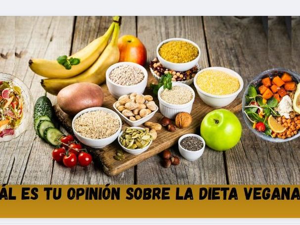 ¿Cuál es tu opinión sobre la dieta vegana?