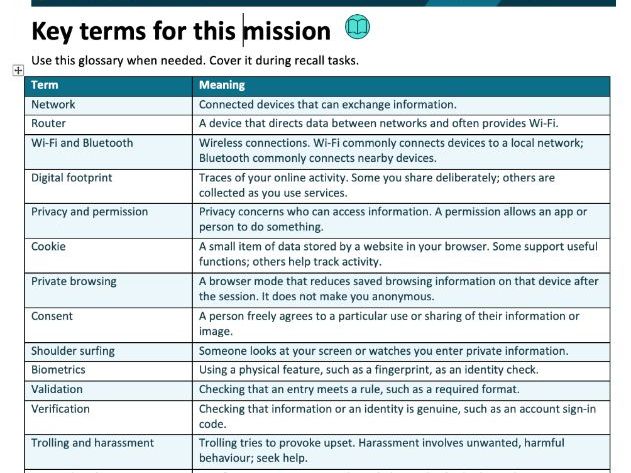 Cyber Safety Detectives 2 | Network, Privacy & Online Safety Workbook | KS3–KS4 SEND