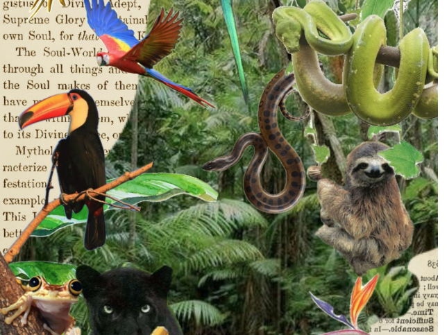ESS Unit 3 Introduction to Biodiversity first exams 2026