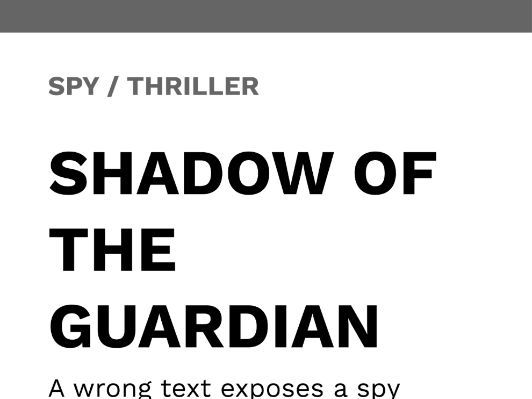 Shadow of the Guardian - Spy / Thriller
