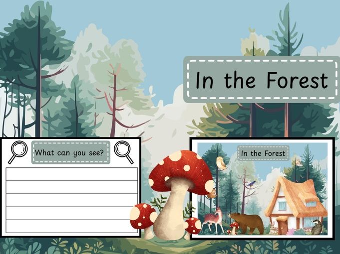 What can you see? In the forest