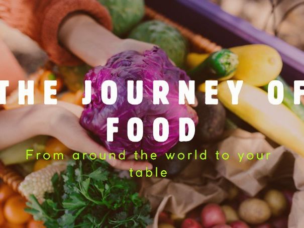 Journey of Food PPT