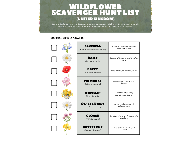 Wildflower scavenger hunt - UK version