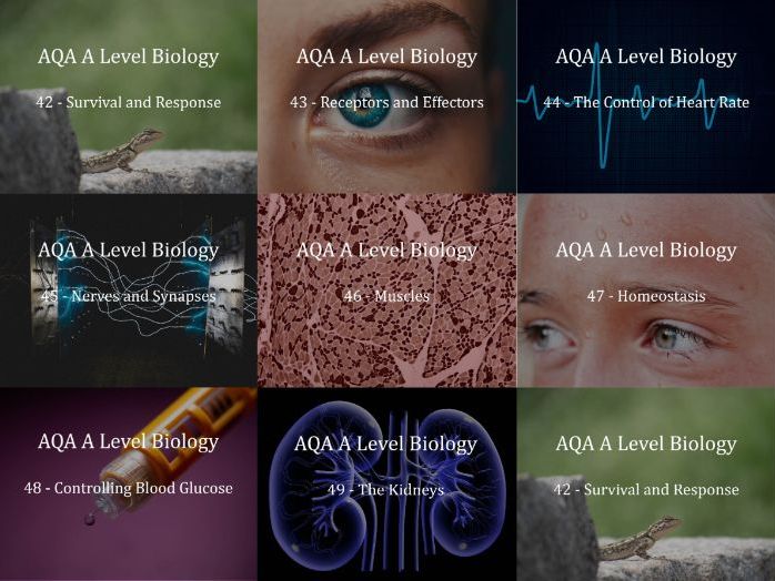 AQA A Level Biology Presentations Chapter 6 - Organisms Respond to Changes in their Environments