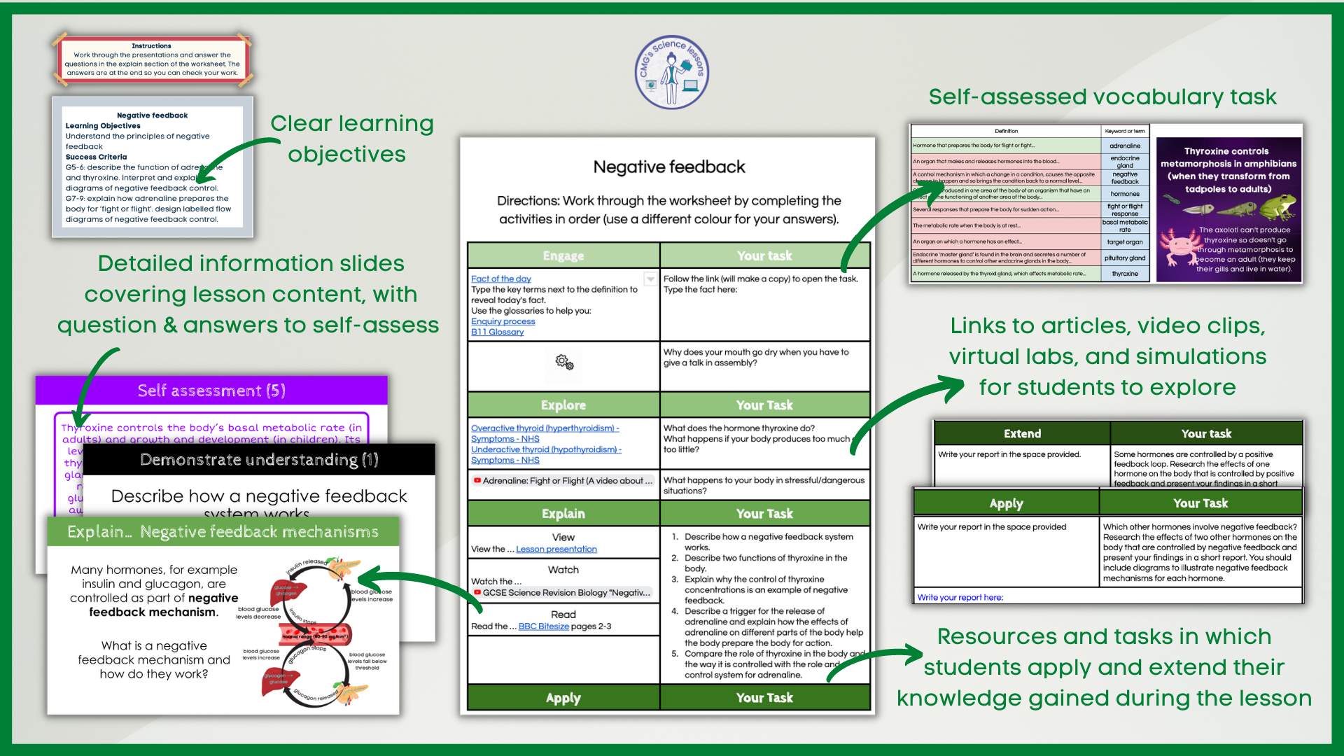 Negative feedback Distance learning | Teaching Resources