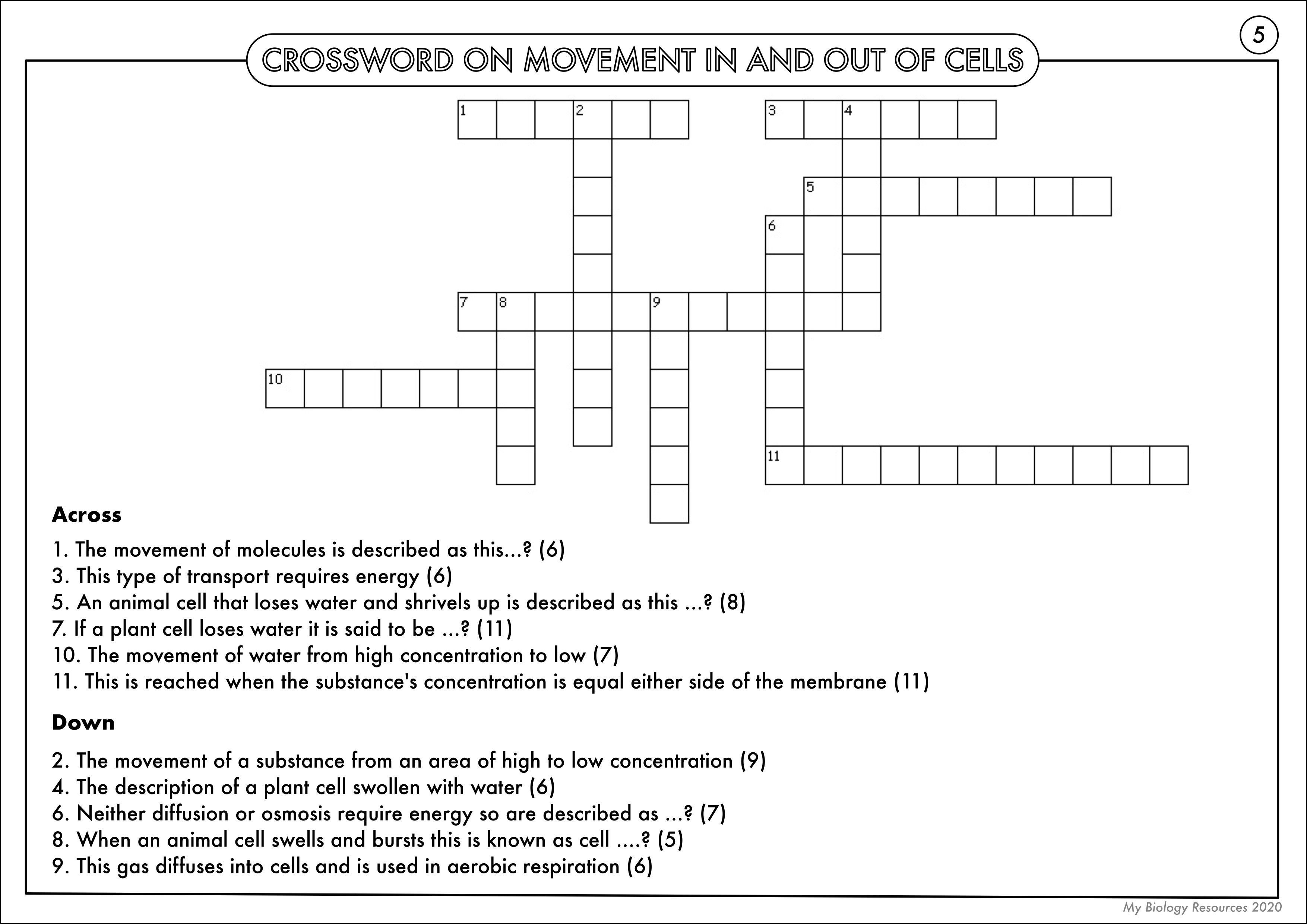 cell-transport-review-worksheet-answers