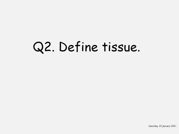 Organisation Key Facts