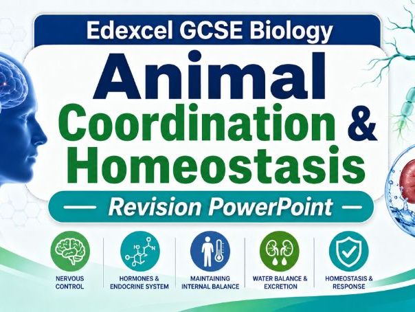 Edexcel GCSE Biology Homeostasis PPT