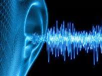 Science - Sound (Year 4)