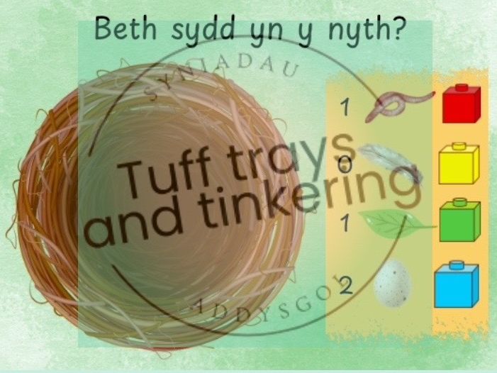 beth sydd yn yr nyth? aderyn adar wythnos mathemateg cyfnod syflaen ps1 foundation phase