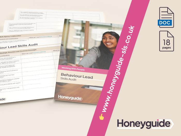 Behaviour Lead Skills Audit
