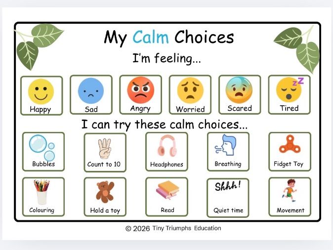 Emotional Regulation Board