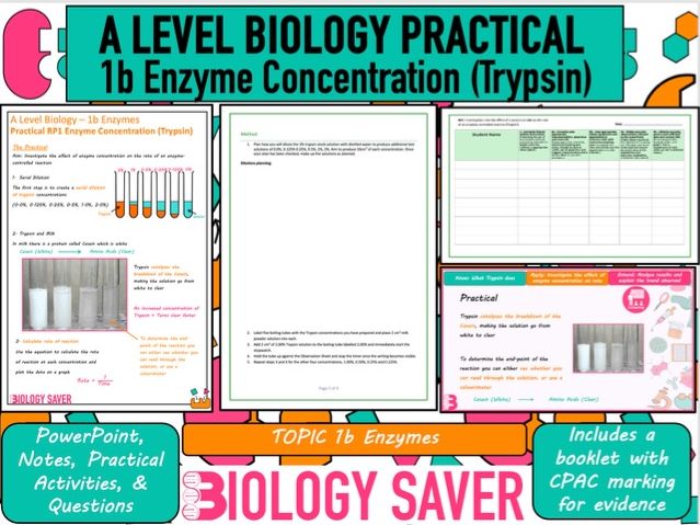 A Level Bio Practical RP1 - 1b Enzyme Concentration (Trypsin)