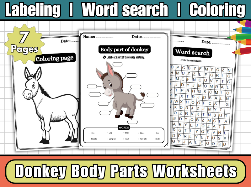 Donkey Body Parts  | Labeling Diagram | Word Search | Coloring,Worksheets-Animal Science Activity