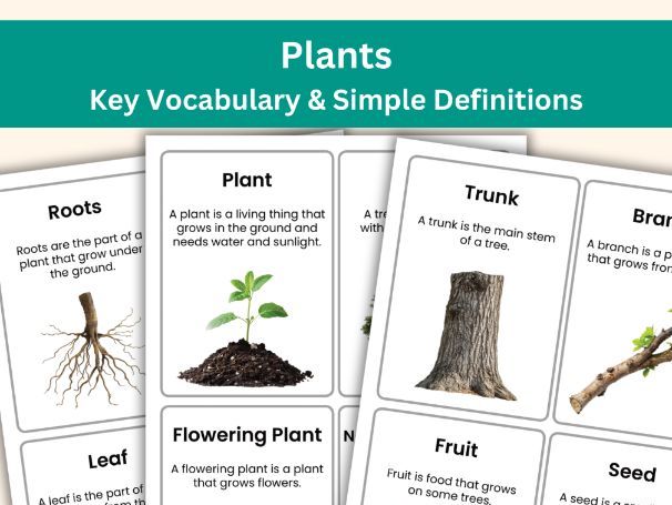 Plants Vocabulary Cards | Year 1 Science Key Words with Simple Definitions | Printable Flashcards