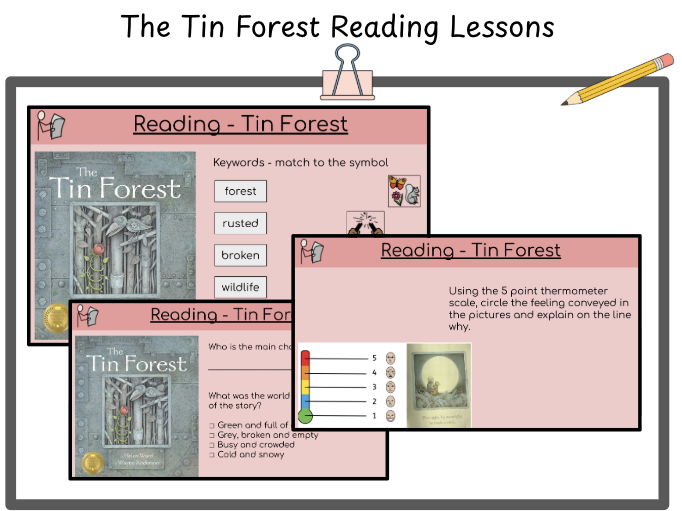 The Tin Forest YR3 Reading Lessons