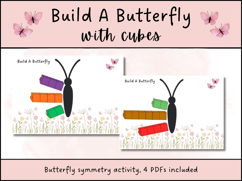 Butterfly Symmetry Maths Activity EYFS