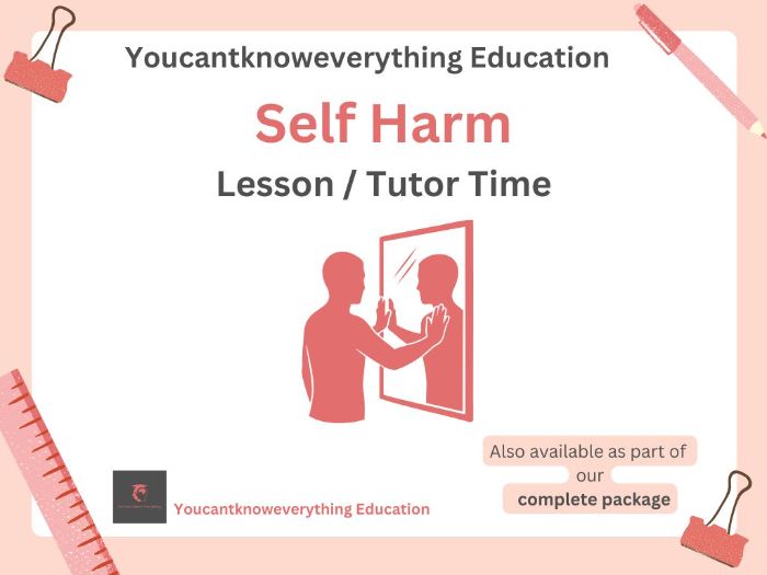Self Harm / Injury  PSHE