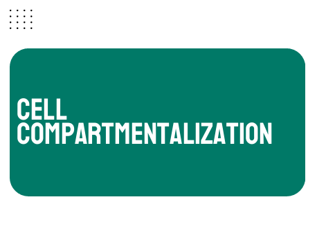 AP Biology Unit 2: Cell Compartmentalization