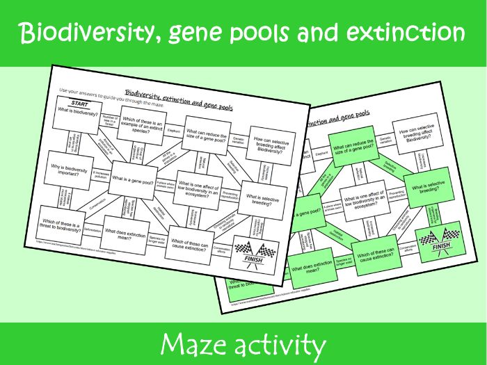 Biodiversity, Extinction and Gene Pools Maze Worksheet | KS2–KS3 Science Revision Activity