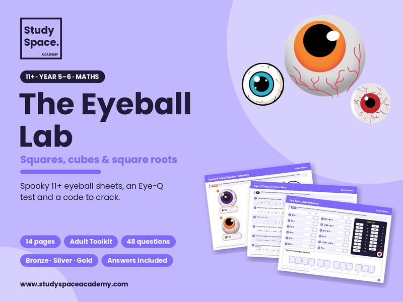 Year 5 & 6 The Eyeball Lab