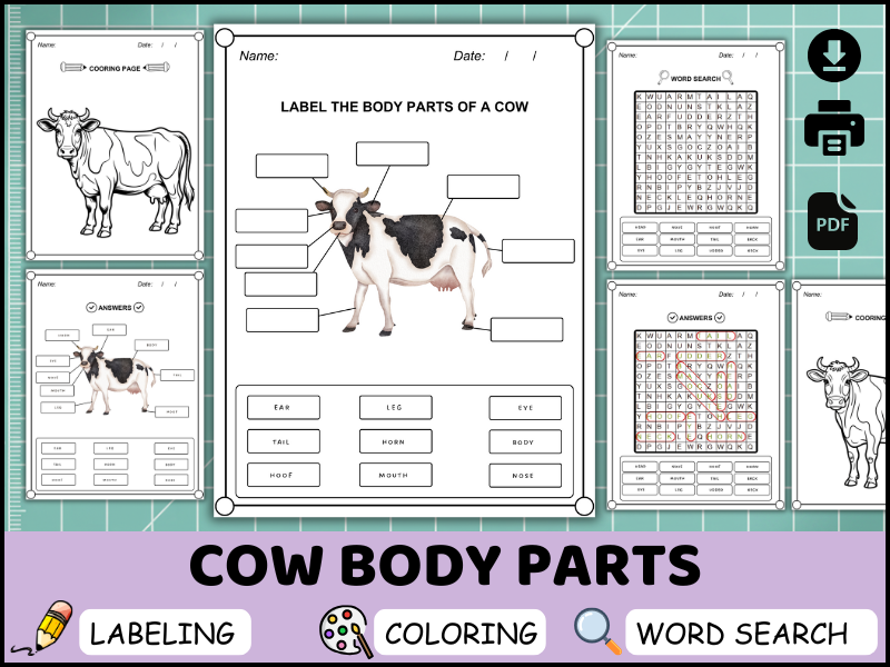 Cow Body Parts Worksheet, Labeling Diagram, Animal Science Activity, Coloring & Word Search (PDF)