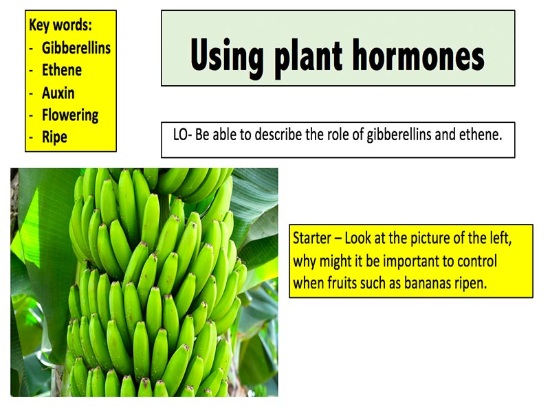 Mr Science Teaching Resources TES