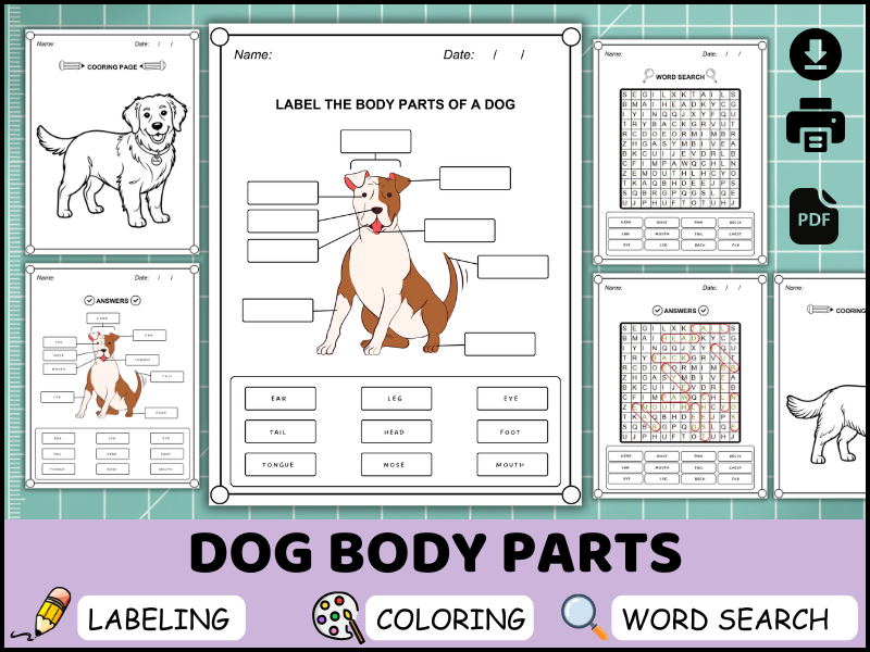 Dog Body Parts Worksheet, Labeling Diagram Activity, Animal Science PDF, Coloring & Word Search
