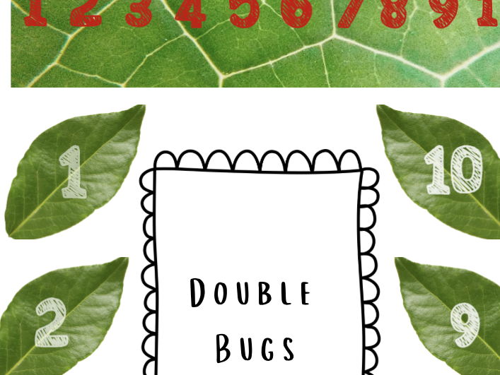 Double Bugs Counting Tuff Tray Activity – EYFS Numeracy
