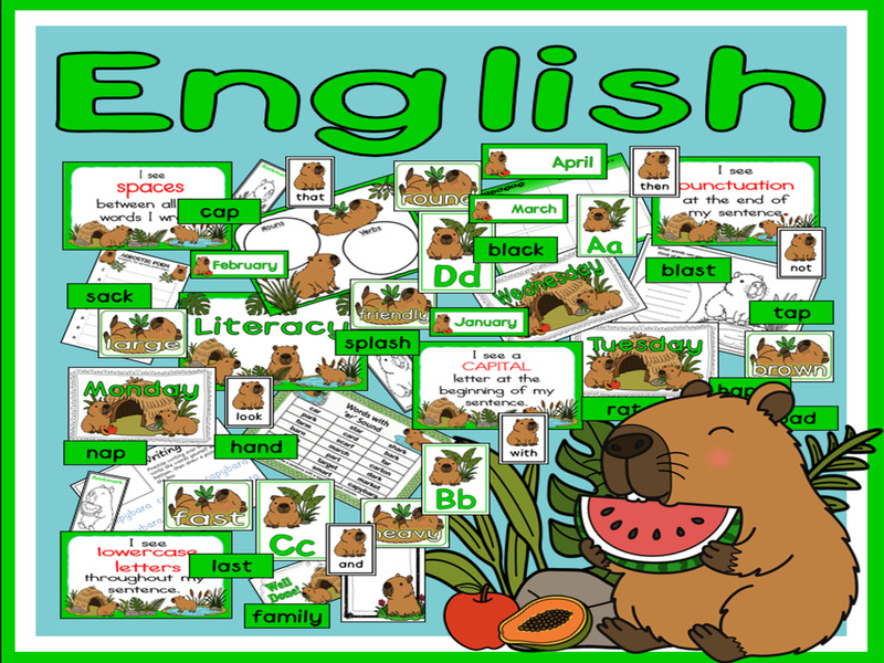 Literacy - phonics, reading, sounds, sight words, days, months - Capybara theme