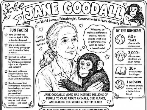 Jane Goodall Colouring Factsheet -Biology, Animals, Conservation, Zoology