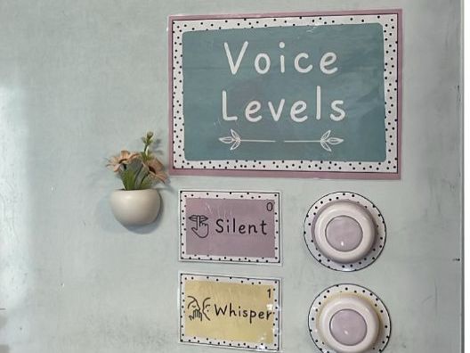 Voice Levels Display