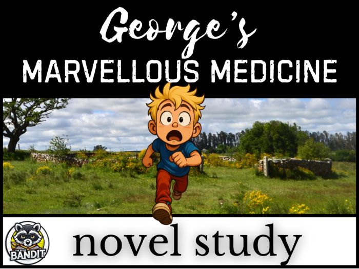GEORGE'S MARVELLOUS MEDICINE Novel Study and Reading Comprehension Activities