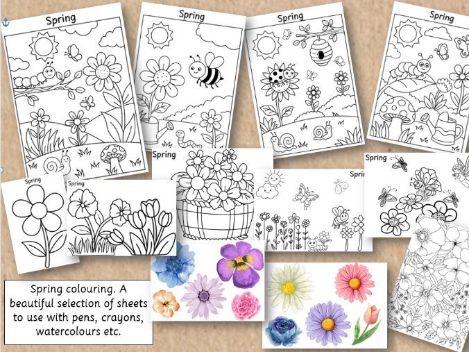 Spring Colouring