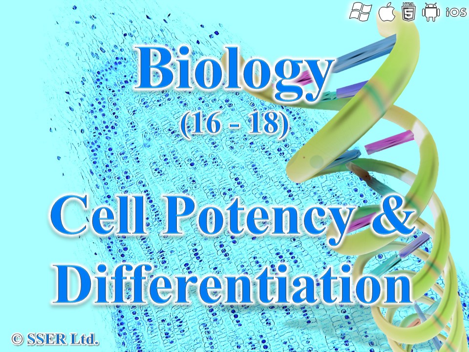 BioA_3.8.2.1 Cell Potency & Differentiation