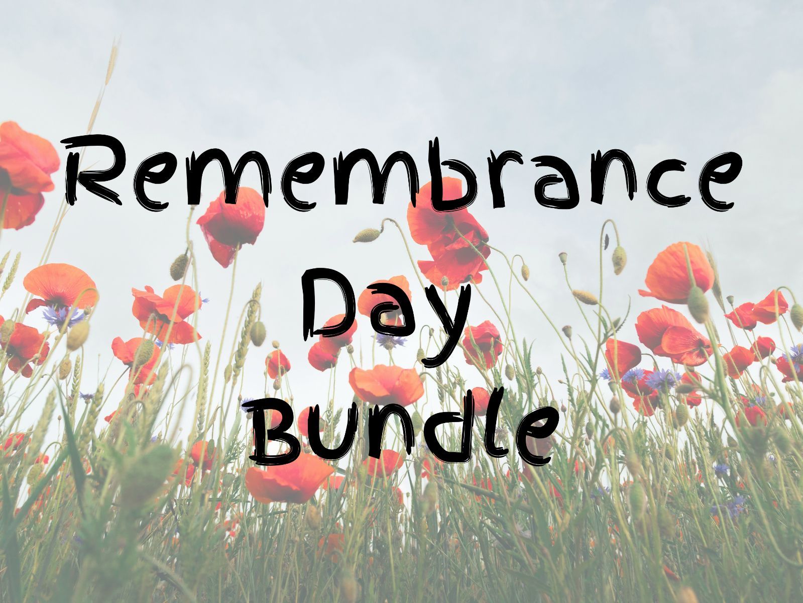 Remembrance Day Bundle - EYFS/KS1