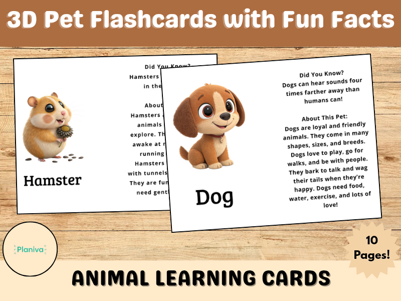 3D Pet Flashcards with Fun Facts | Animal Learning Cards for KS1 & KS2