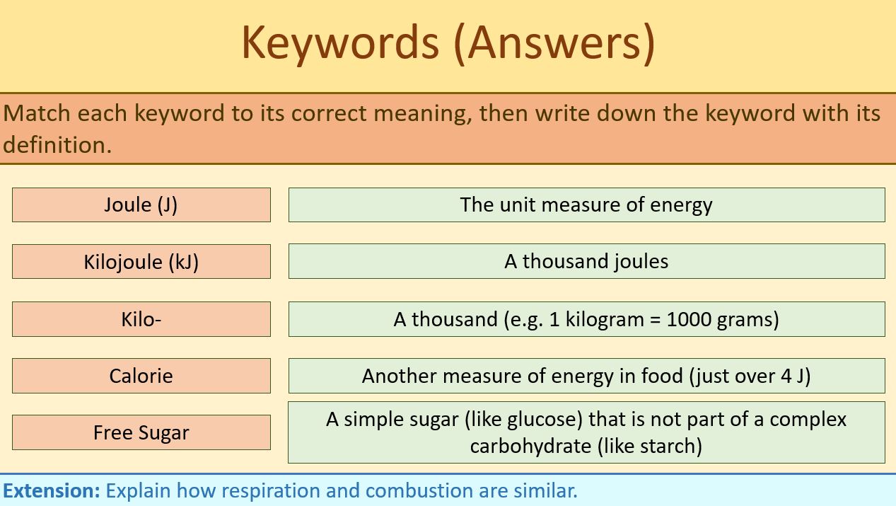 Food and Fuels KS3 Year 8 Teaching Resources