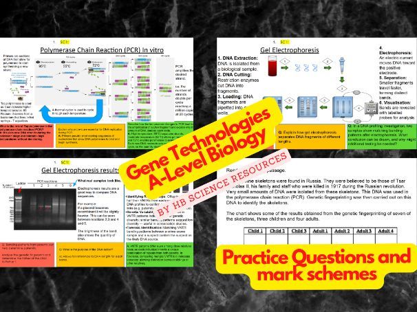 Gene Technologies A Level Biology