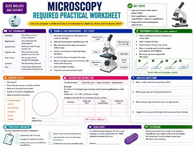 GCSE Biology Microscopy Required Practical Worksheet | AQA Science