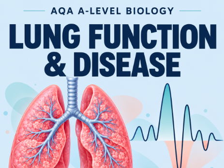 A-Level Biology: Lung Function, Spirometry & Disease – AQA Applications