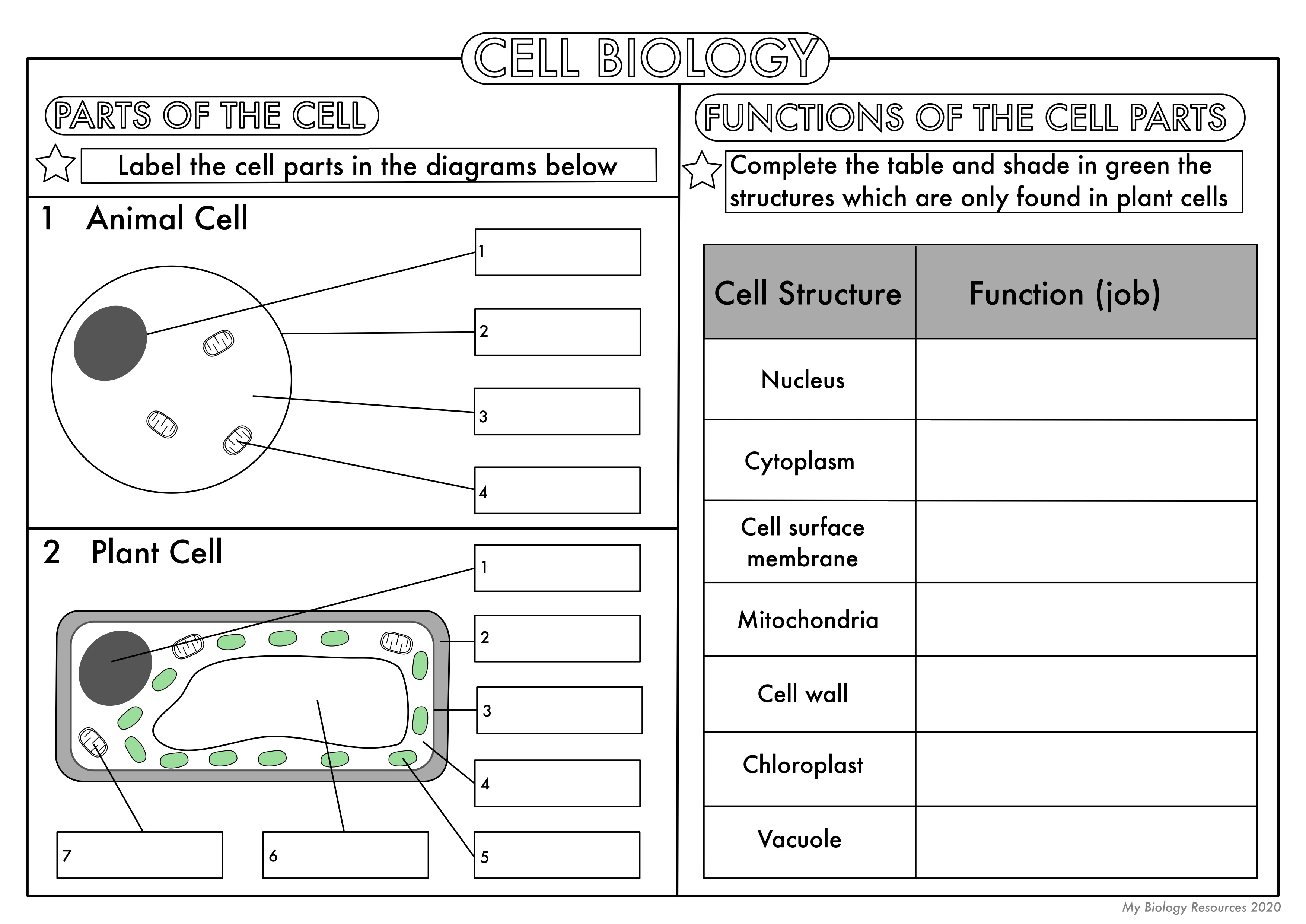 assignment topics for cell biology