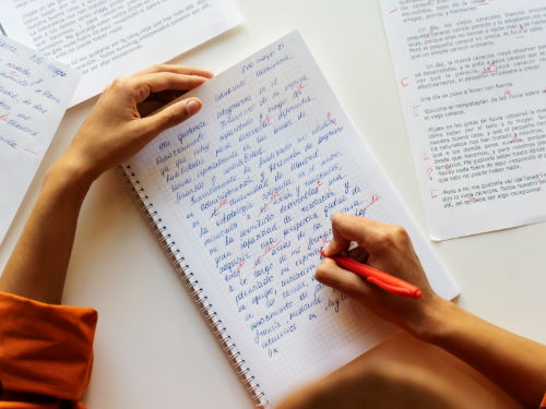 AQA 25 mark essay importance cheat sheet