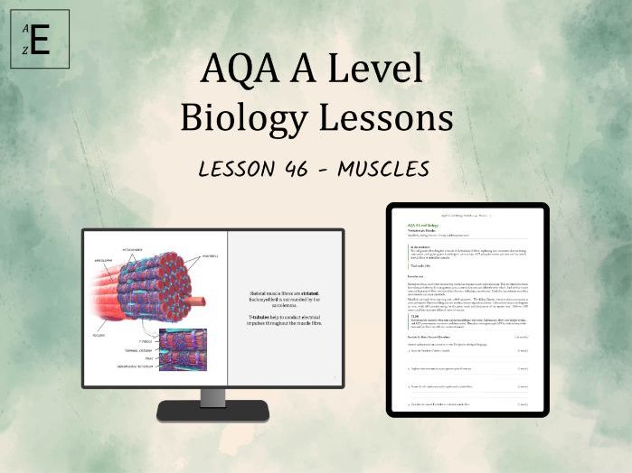 AQA A Level Biology Lesson 46 - Muscles