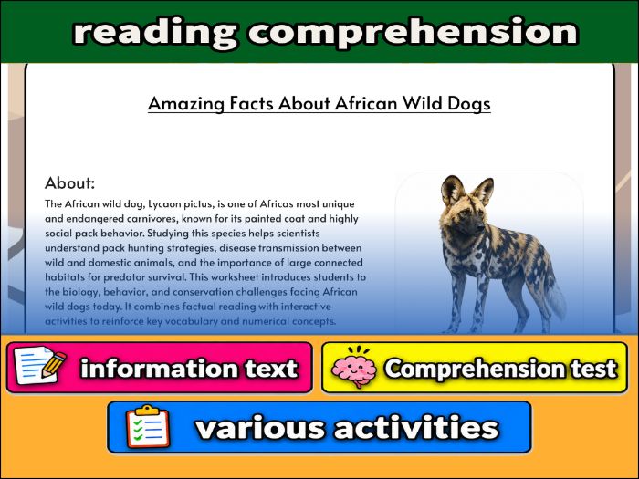 Amazing Facts About African Wild Dogs - zoology & Activities