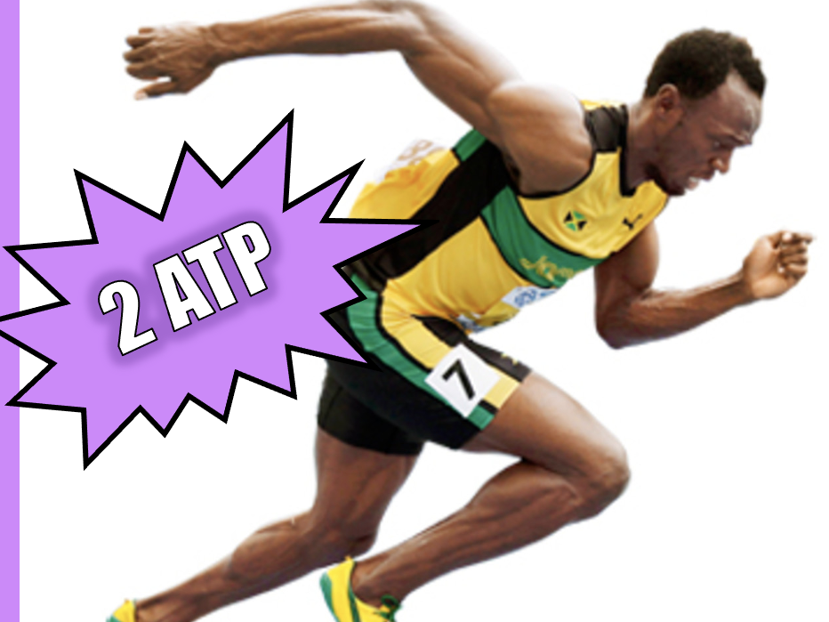 Aerobic Vs. Anaerobic Respiration