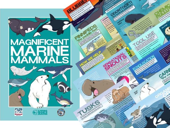 Magnificent Marine Mammals ebook